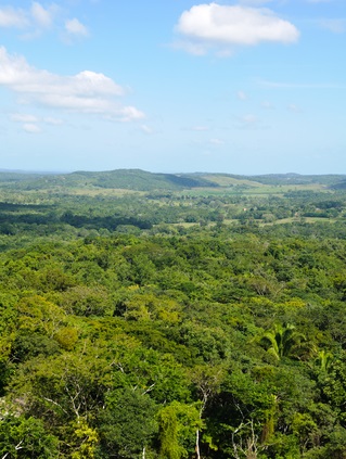 Back to Belize for Brits on 50th anniversary of Belizean liberation