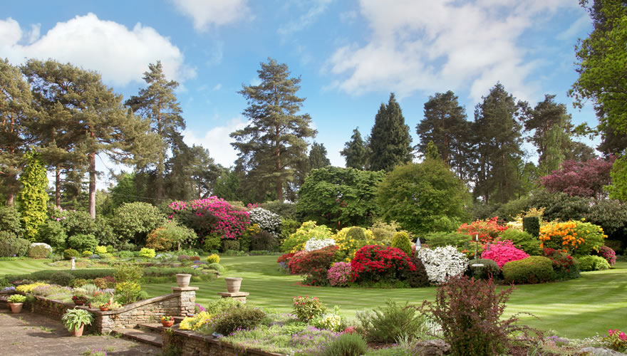 It’s time to get green fingered and in the garden as National Gardening Week kicks off