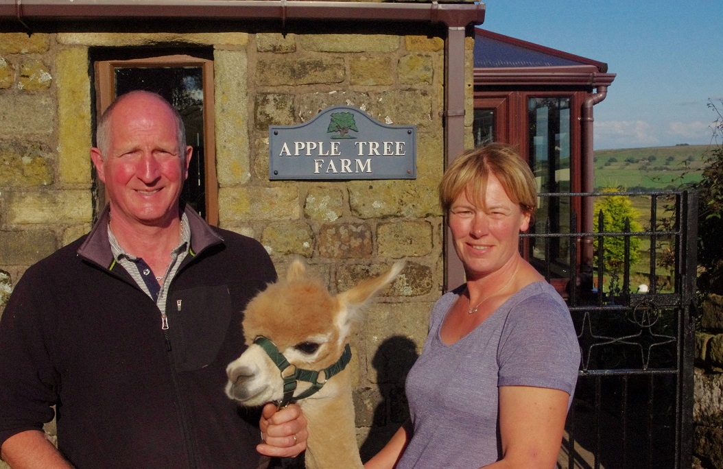 Alpaca it all in for a new life on the farm!