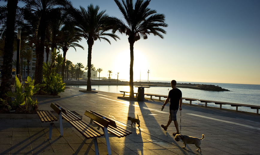 Belgian buyers head to Spain’s Costa Blanca as sales increase by 156%