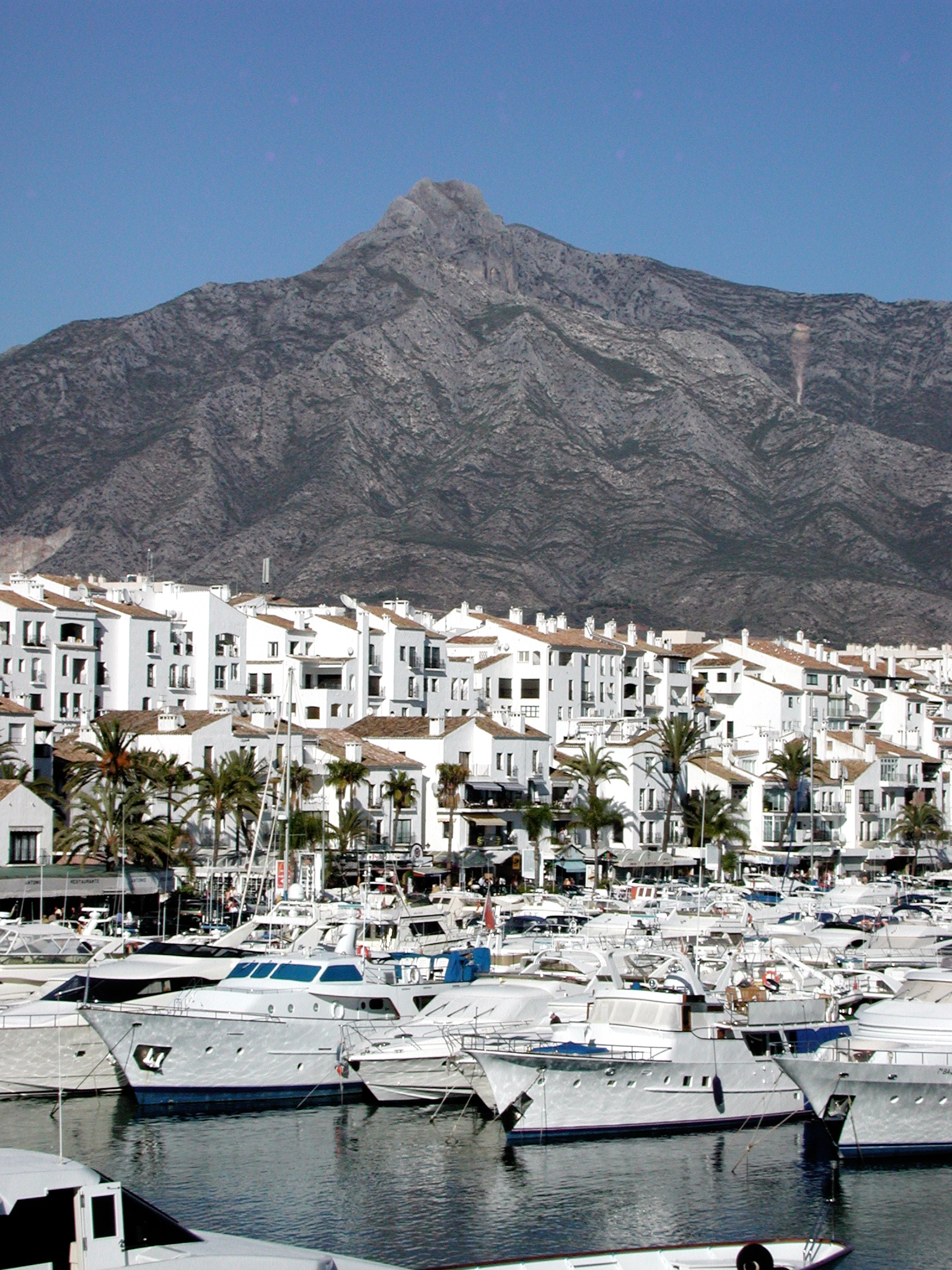 Homes fit for royalty as new routes launch to Puerto Banus